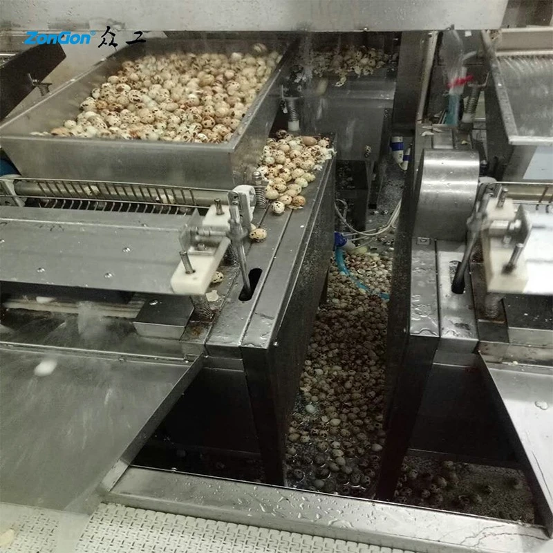 automatic quail egg processing machine 3
