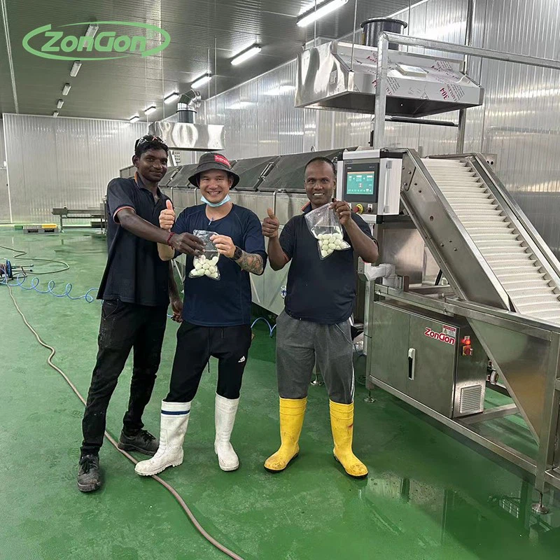 automatic quail egg production line 2