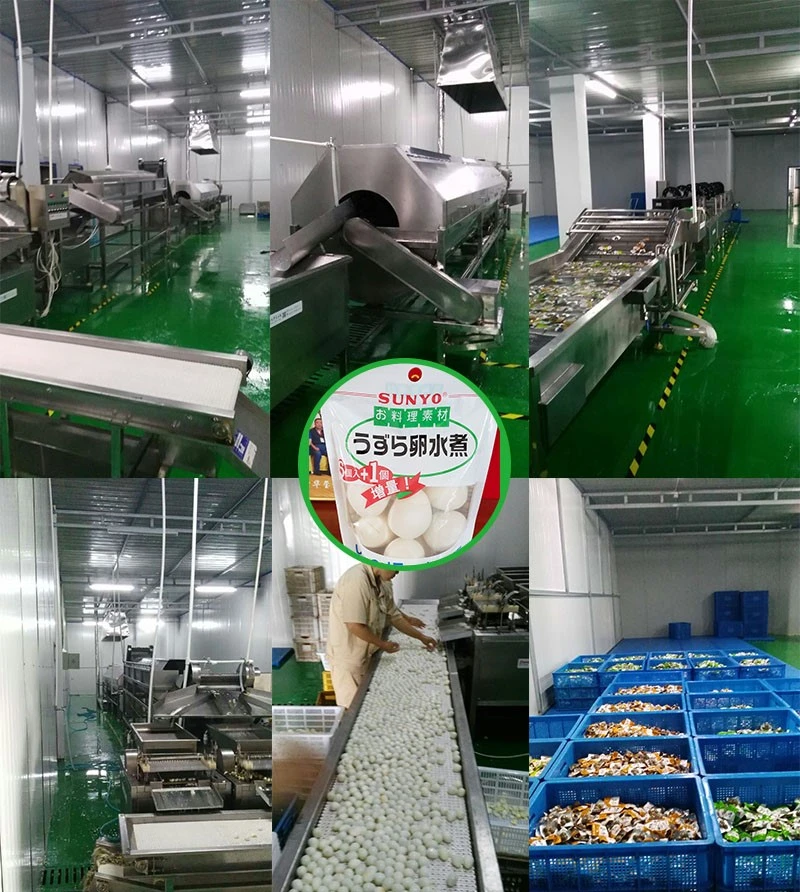 product-800-892 product-800-892